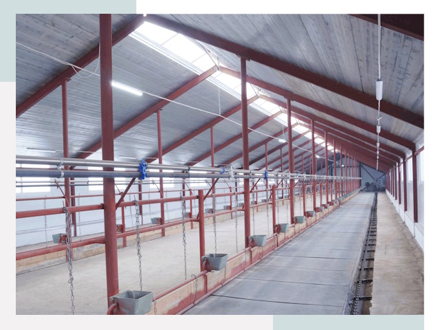 Строительство коровников в Магнитогорске от 621 руб.