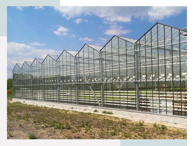 Строительство теплиц в Магнитогорск от 621 руб. за м²