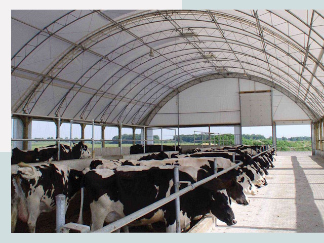 Тентовые коровники в Магнитогорске